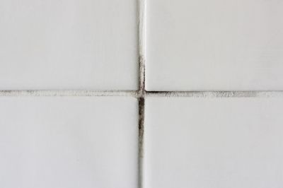 Avoid Mold and Mildew in Your Tile Floor Grout!